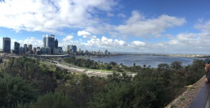 Perth from kings garden